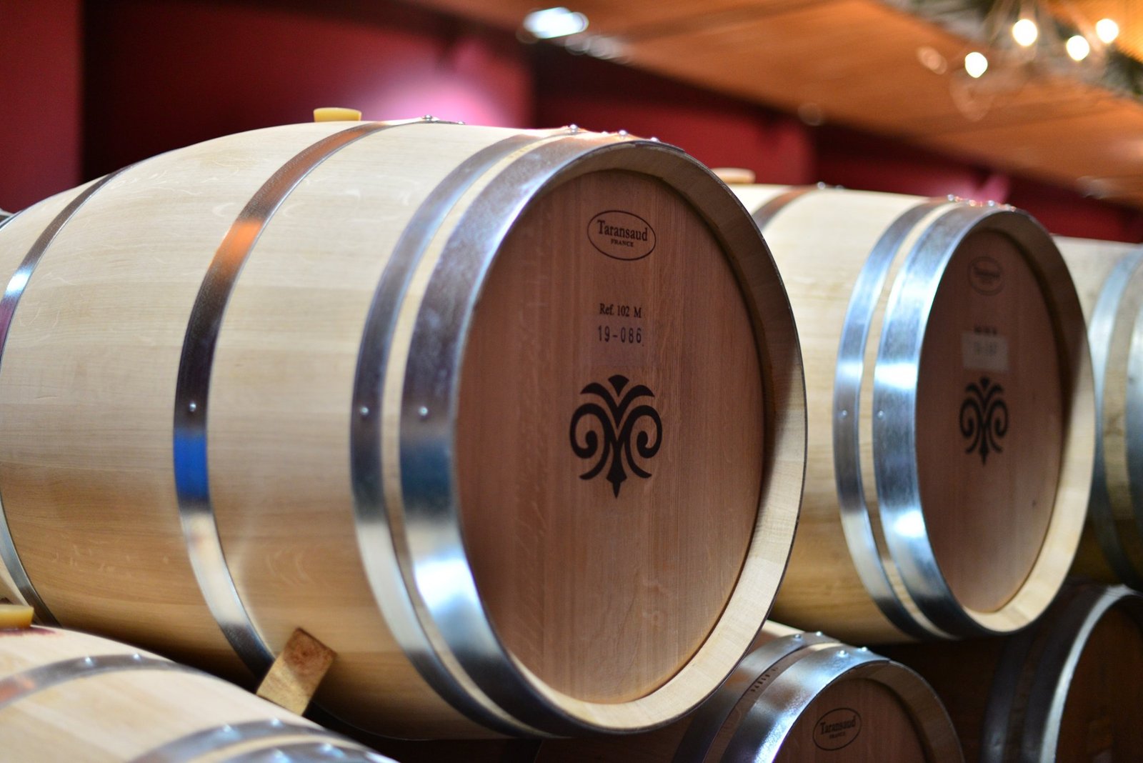 Viñas en Chile